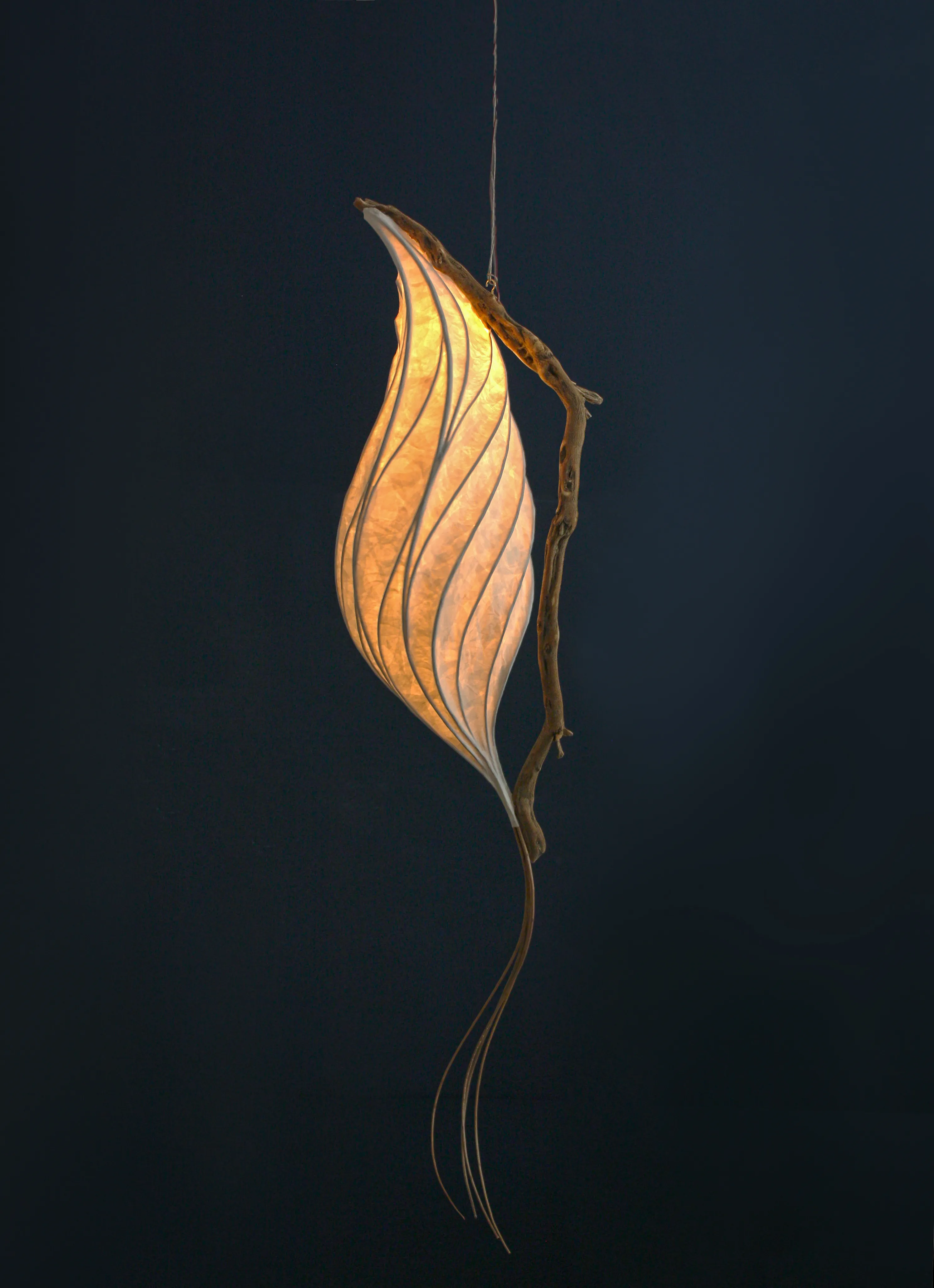 پرنده-ماهی